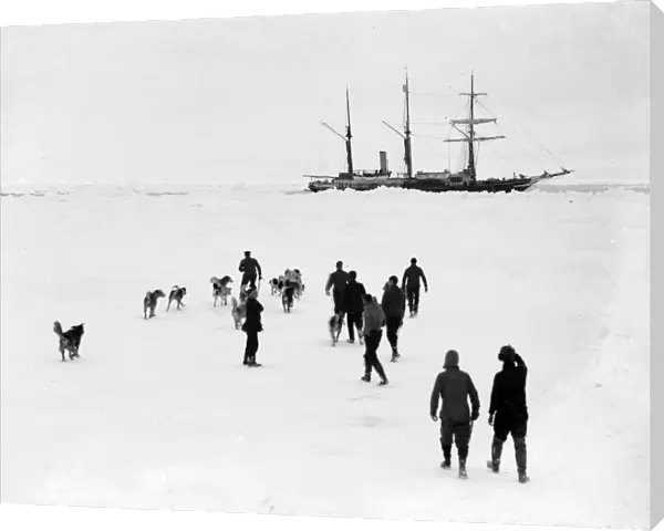 Men and dogs on the ice, Endurance in the background