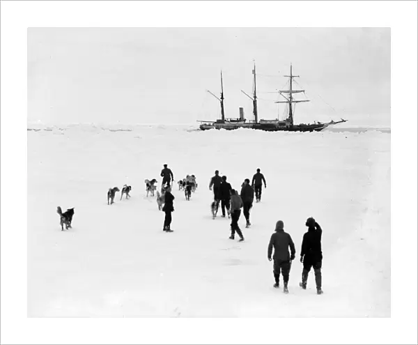 Men and dogs on the ice, Endurance in the background