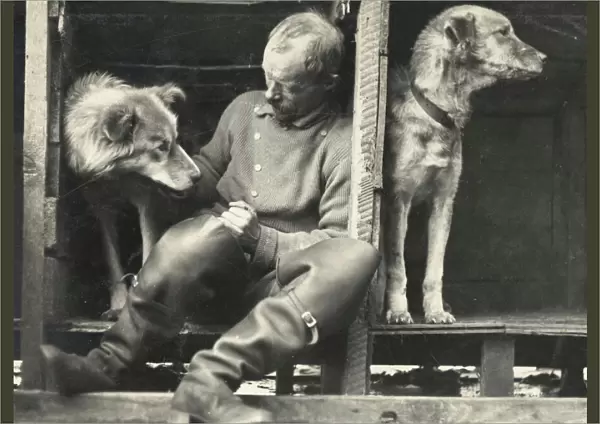 Frank Wild and sledge dogs on board ship