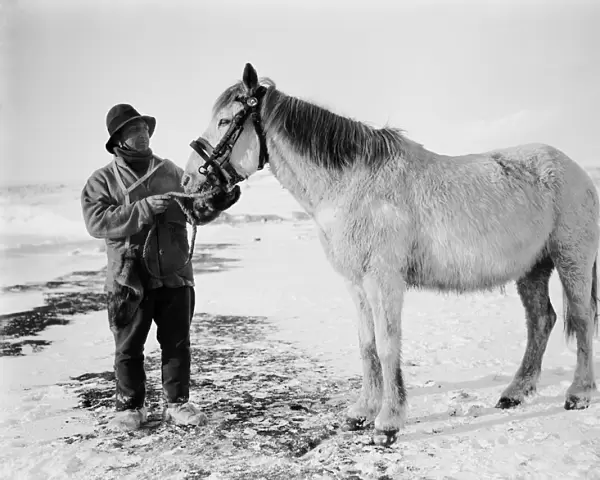 Lt Henry Bowers and pony Victor. October 1911
