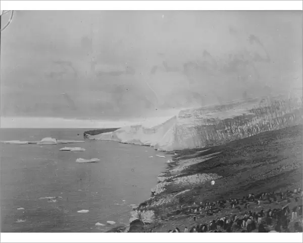 Cape Crozier and the end of great ice barrier