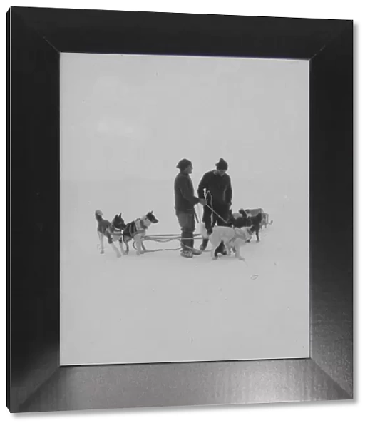 Dog team. Photographer: Morrison, John Donald.