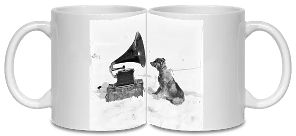 The sledge dog Chris and the Gramophone