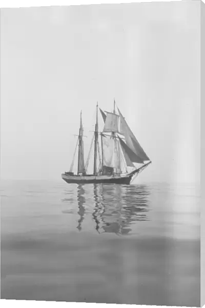 Penola at sea