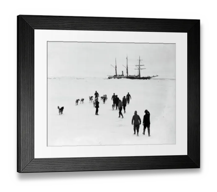 Framed Print : Men and dogs on the ice, Endurance in the background Framed Print : Men and dogs on the ice, Endurance in the background