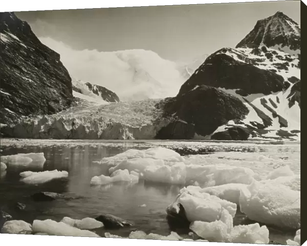 De Geer Glacier at head of Moraine Fjord, South Georgia