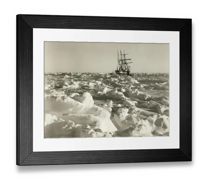 Framed Print : Endurance fast in the sea of ice Framed Print : Endurance fast in the sea of ice