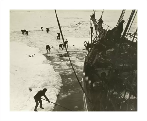 Endeavouring to cut the ship out of the ice, February, 1915