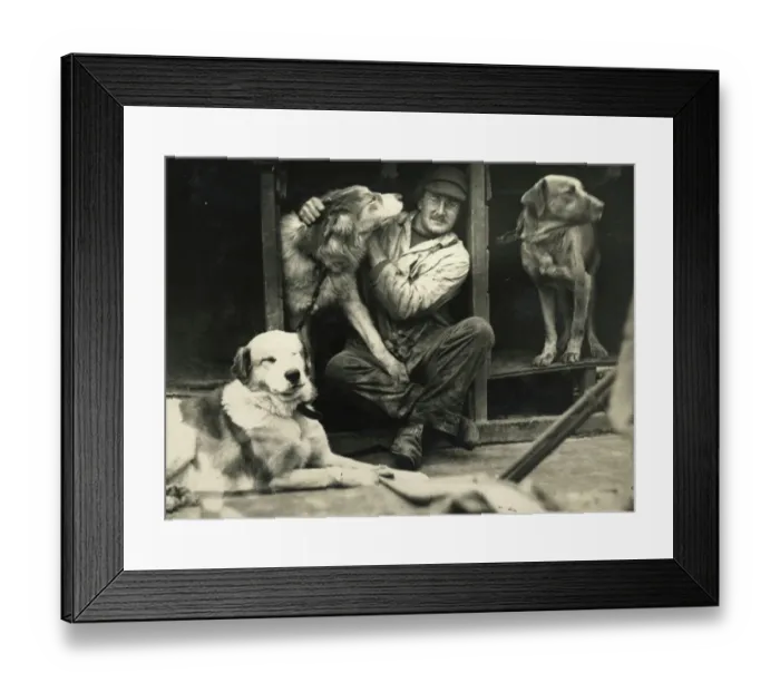 Framed Print : Dr Macklin with sledge dogs on board ship