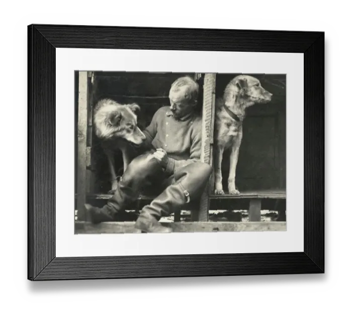 Framed Print : Frank Wild and sledge dogs on board ship