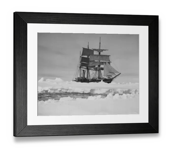 Framed Print : The Terra Nova held up in the pack ice. December 13th 1910 Framed Print : The Terra Nova held up in the pack ice. December 13th 1910