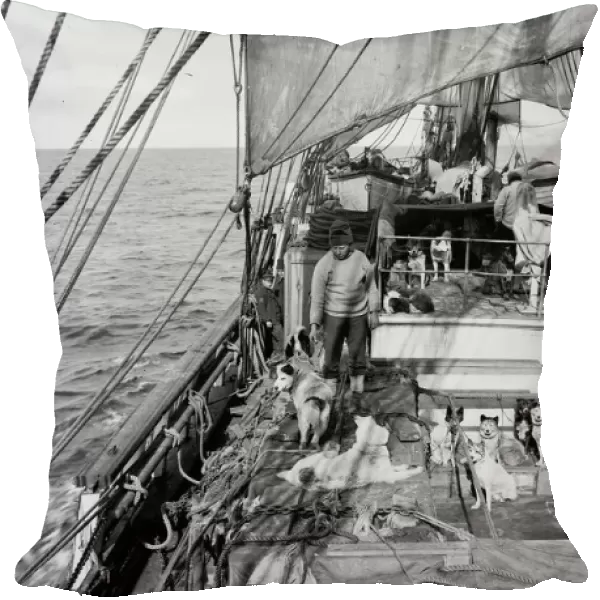 View of deck of Terra Nova with dogs from engine room hatch. January 3rd 1911