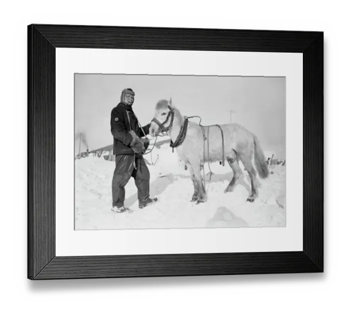 Framed Print : Edgar Evans and pony Snatcher. October 1911 Framed Print : Edgar Evans and pony Snatcher. October 1911