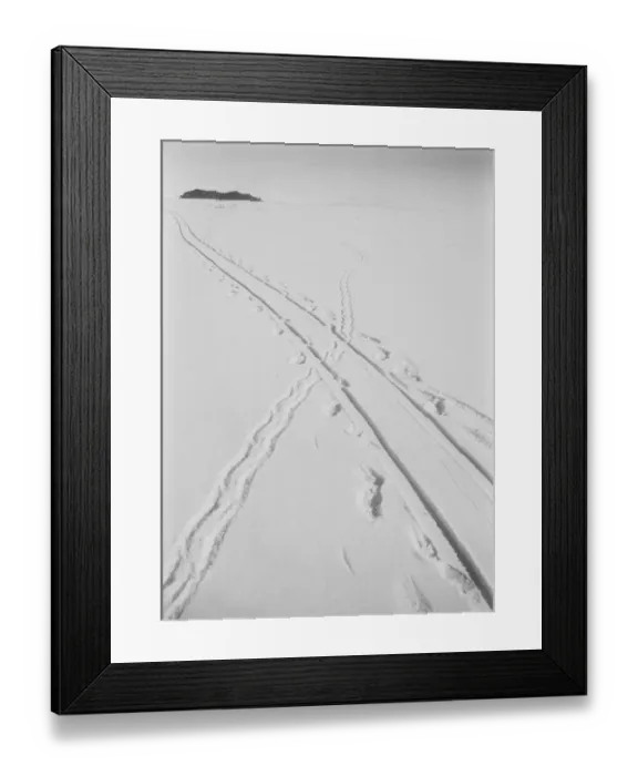 Framed Print : Adelie penguin track and sledge track crossing. December 8th 1911 Framed Print : Adelie penguin track and sledge track crossing. December 8th 1911