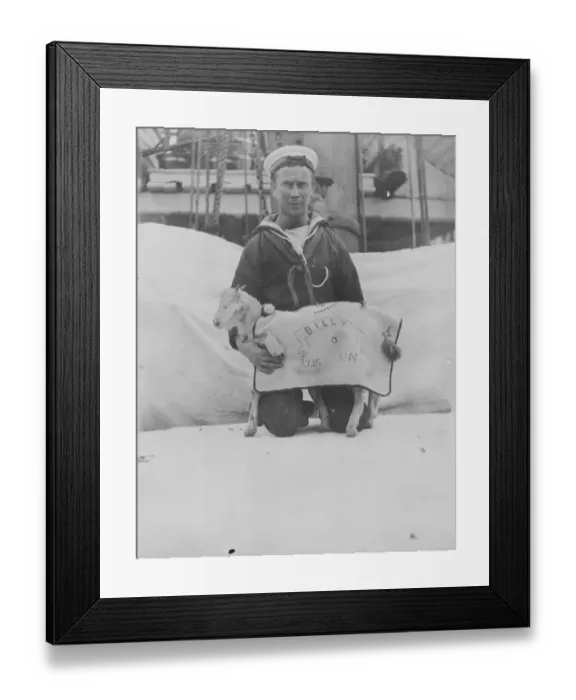Framed Print : The Mornings goat Framed Print : The Mornings goat