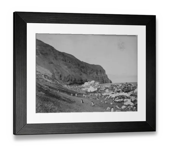 Framed Print : The beach, Franklin Island Framed Print : The beach, Franklin Island