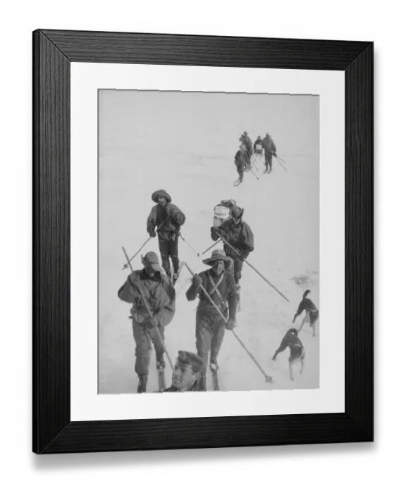 Framed Print : Sledging. Photographer: Morrison, John Donald. Framed Print : Sledging. Photographer: Morrison, John Donald.