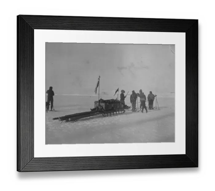 Framed Print : Sledging. Man-hauling a sledge on the ice Framed Print : Sledging. Man-hauling a sledge on the ice
