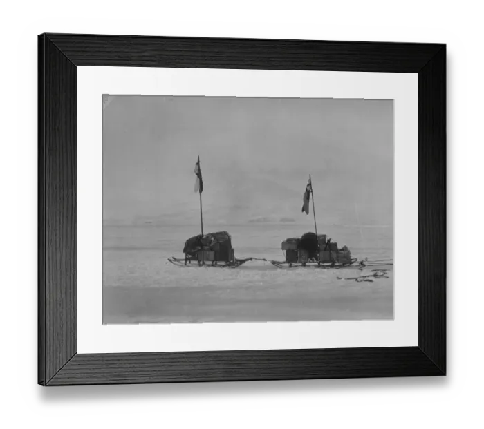 Framed Print : Two sledges Framed Print : Two sledges