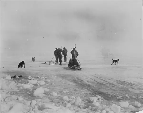 Sledging. Man-hauling a sledge on the ice