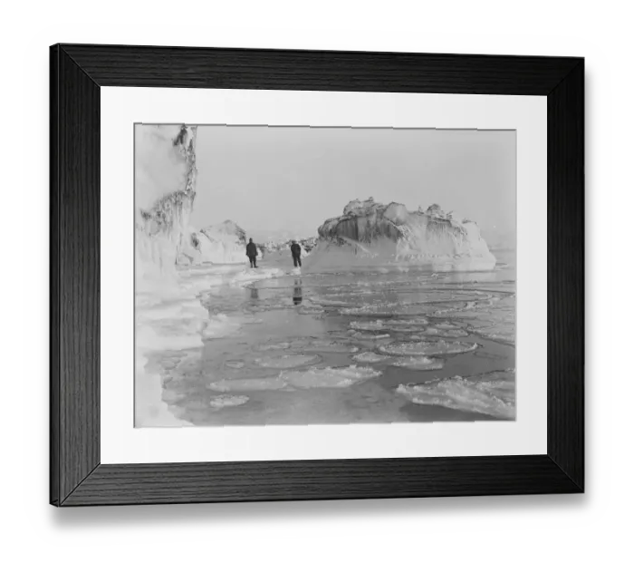 Framed Print : Pancake ice Framed Print : Pancake ice
