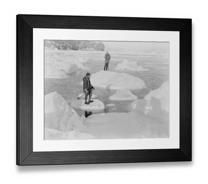 Framed Print : Priestley and Campbell standing on pancake ice Framed Print : Priestley and Campbell standing on pancake ice