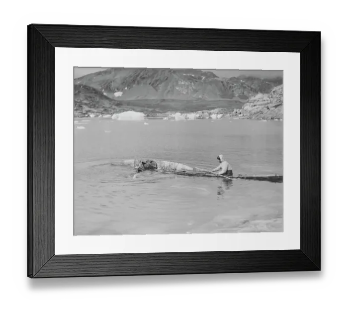 Framed Print : Learning to roll - two kayaks Framed Print : Learning to roll - two kayaks