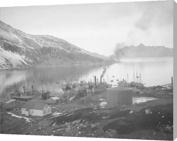 Leith Harbour, South Georgia, general view from behind station