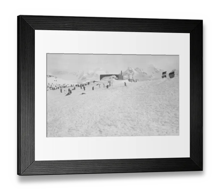 Framed Print : Waterboat Point, Paradise Bay Framed Print : Waterboat Point, Paradise Bay