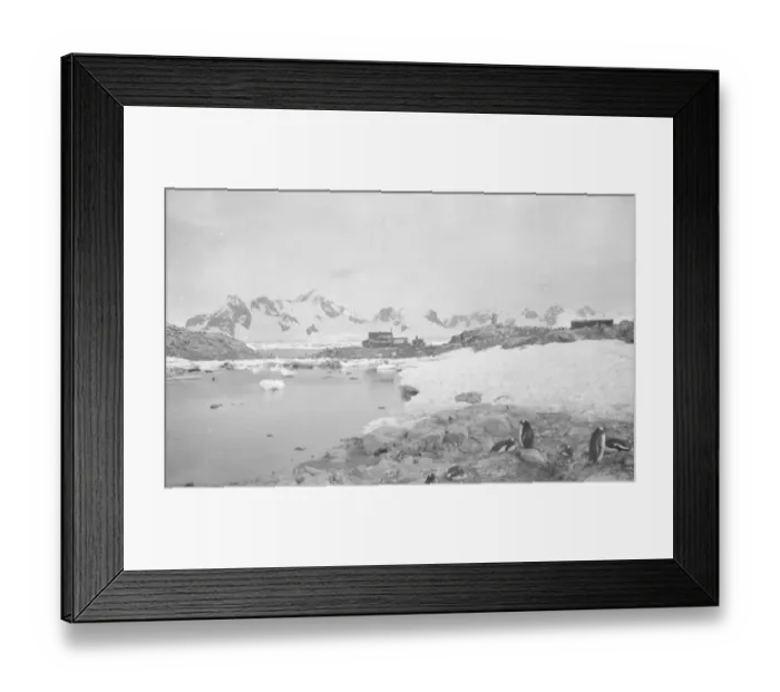 Framed Print : Waterboat Point, Paradise Bay Framed Print : Waterboat Point, Paradise Bay