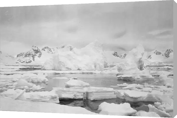Icebergs, Waterboat Point, Paradise Bay