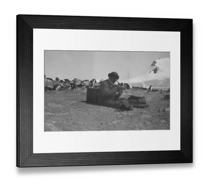 Framed Print : M. C. Lester, Waterboat Point, Paradise Bay