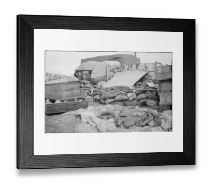 Framed Print : Waterboat Point, Paradise Bay