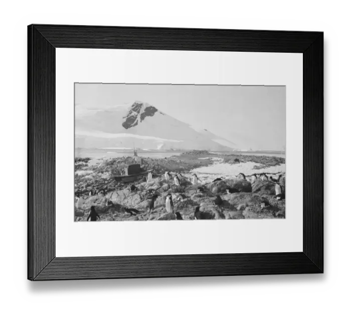 Framed Print : Waterboat Point, Paradise Bay Framed Print : Waterboat Point, Paradise Bay
