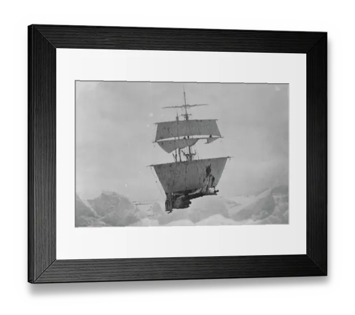 Framed Print : Nimrod held up in the ice