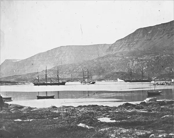 Disco, Greenland. Expedition: British Arctic Expedition 1875-76