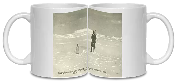 Piper Gilbert Kerr and Emperor penguin off Coats Land, 1904