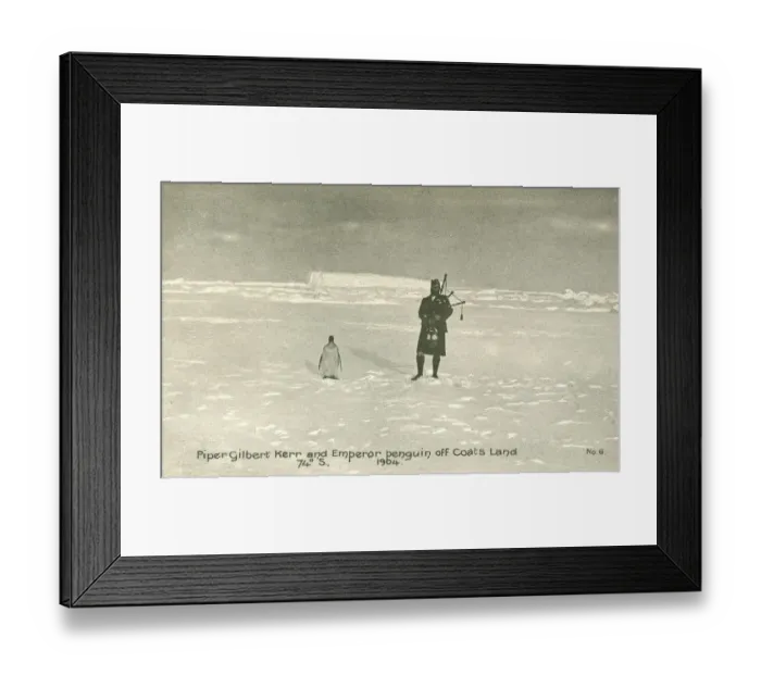 Framed Print : Piper Gilbert Kerr and Emperor penguin off Coats Land, 1904 Framed Print : Piper Gilbert Kerr and Emperor penguin off Coats Land, 1904