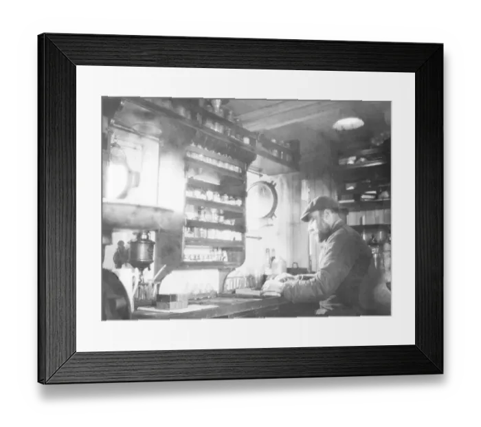 Framed Print : The piper bird-skinning in the Laboratory Framed Print : The piper bird-skinning in the Laboratory