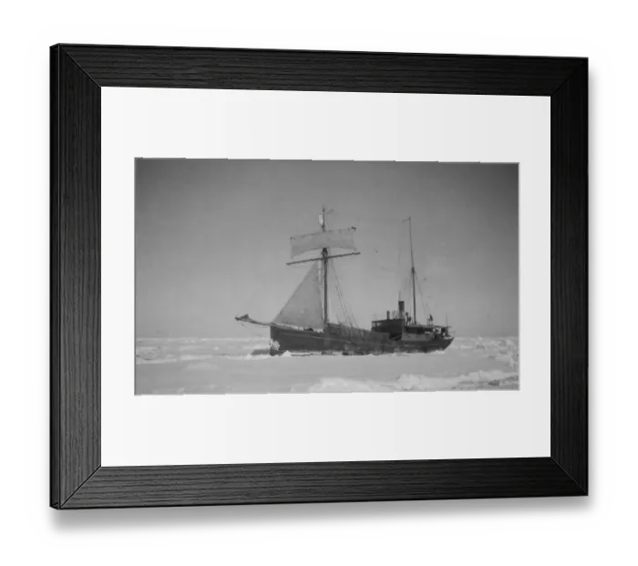 Framed Print : The Quest ploughing through heavy pack ice Framed Print : The Quest ploughing through heavy pack ice