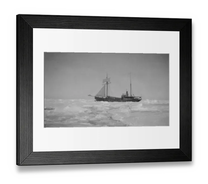 Framed Print : The Quest ploughing through heavy pack ice Framed Print : The Quest ploughing through heavy pack ice