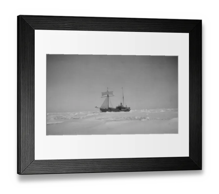 Framed Print : The Quest ploughing through heavy pack ice Framed Print : The Quest ploughing through heavy pack ice