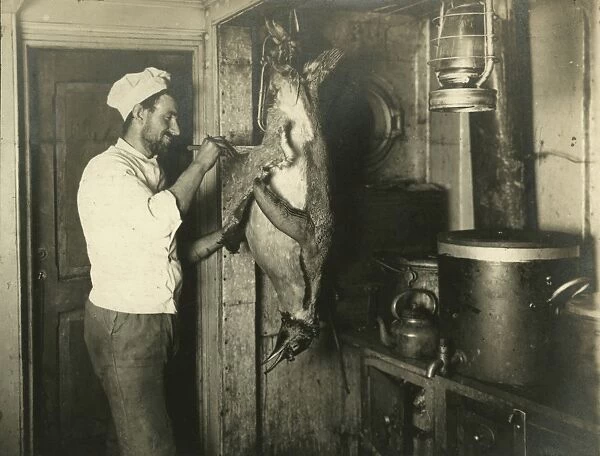 The cook skinning a penguin