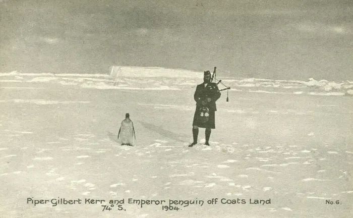Framed Print : Piper Gilbert Kerr and Emperor penguin off Coats Land, 1904 Framed Print : Piper Gilbert Kerr and Emperor penguin off Coats Land, 1904
