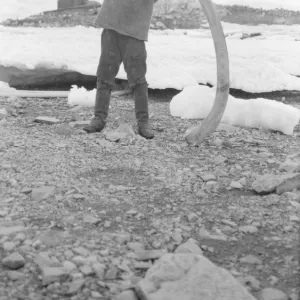 Bagshawe near base hut, holding whale bone, Waterboat Point, Paradise Bay