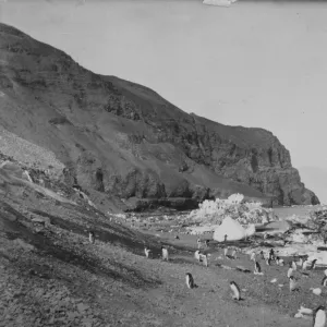 The beach, Franklin Island