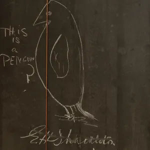 Paintings and Drawings