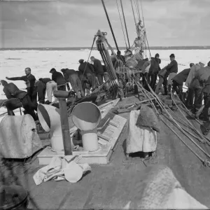 Entering the Pack. Fo castle of the Terra Nova. December 9th 1910