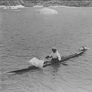 Jamesi in a kayak towing seal