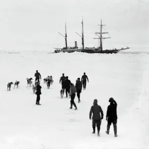 Men and dogs on the ice, Endurance in the background